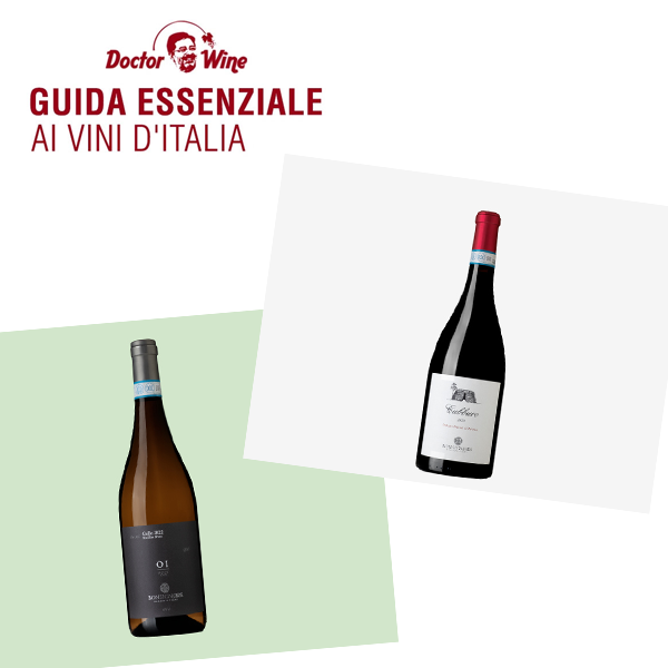 Guida essenziale ai vini d’Italia, Doctor Wine 2020